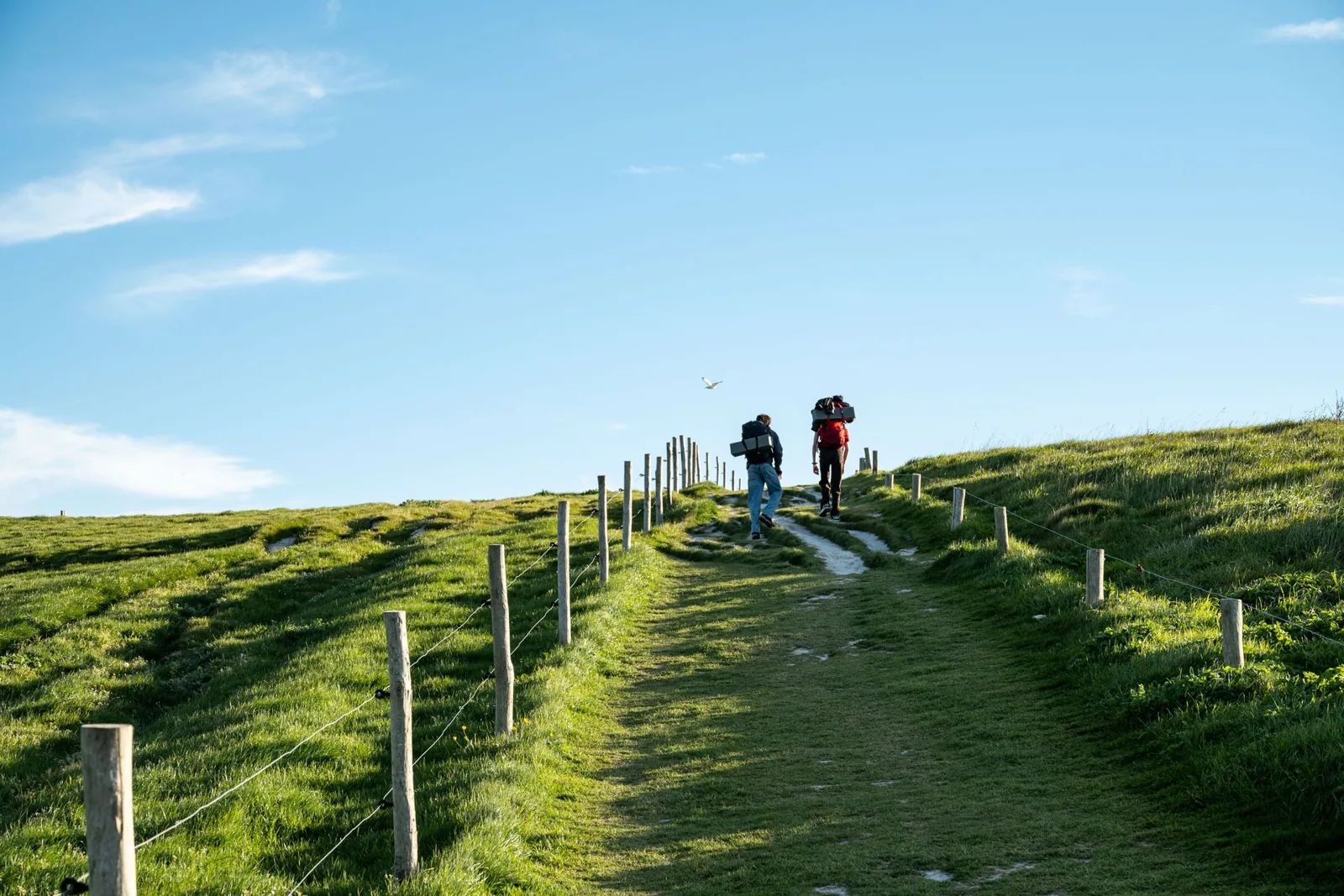Two people walking along a trail together
