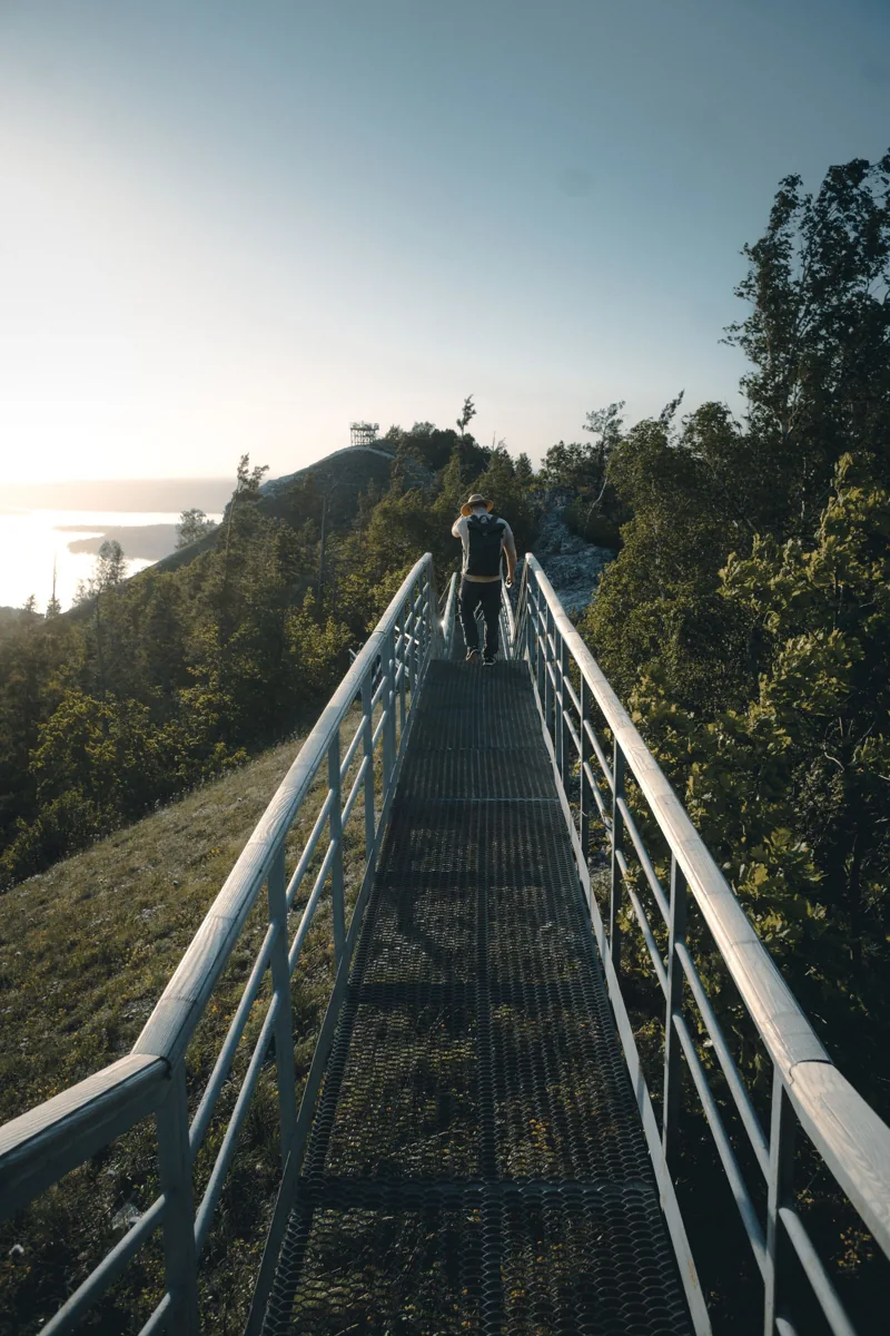 A footbridge with handrails leading through nature